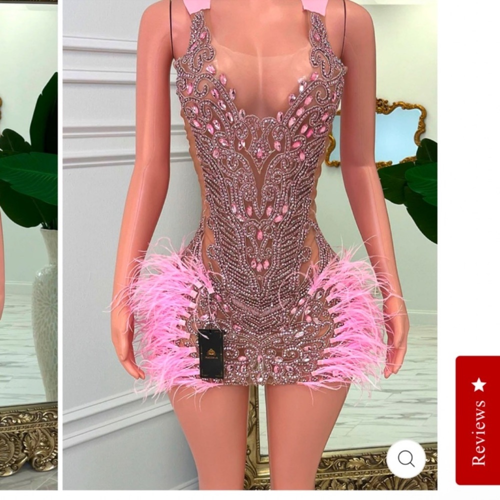 Elegant Pink Feather Embellished Dress